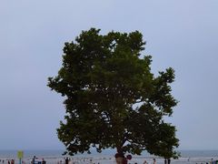 -青岛第一海水浴场