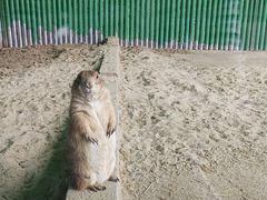 -杭州野生动物世界