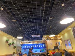 -大派屋