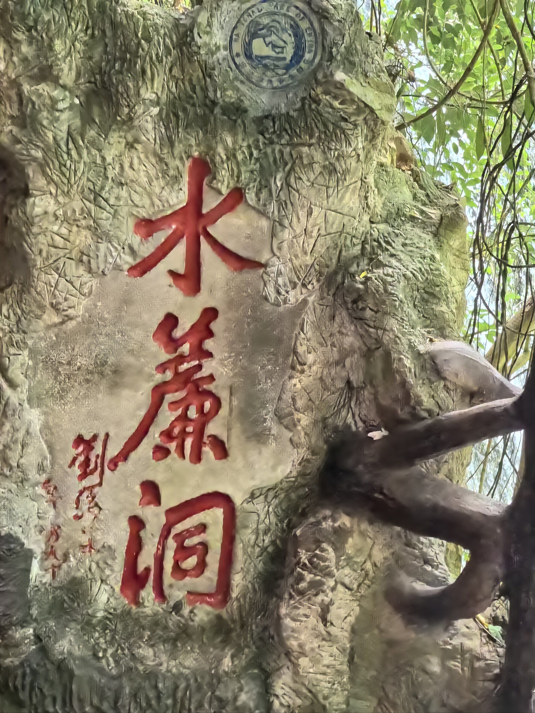 水帘洞找猴子🐒