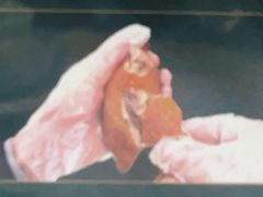 -五谷芳乳鸽王(梅沙老店)