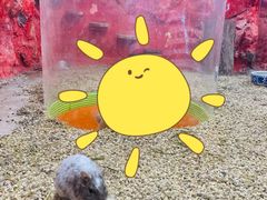 -上海大自然野生昆虫馆