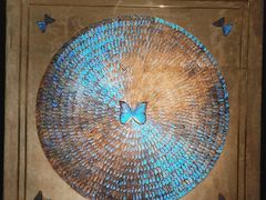 -上海昆虫博物馆