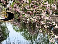 -海棠花溪(元大都城垣遗址公园)
