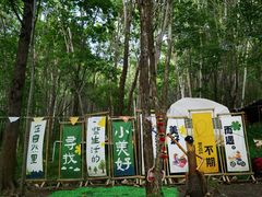 -帽儿山风景区