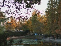 -八大关景区