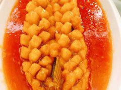 -西安饭庄·非遗陕菜(钟楼店)