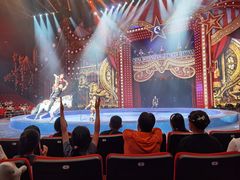 -珠海横琴长隆《卡卡虎奇遇记》