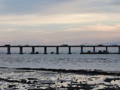 -宝安西湾红树林湿地公园