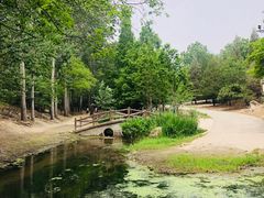 -白水寺森林公园
