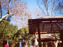 -春晖园度假酒店温泉