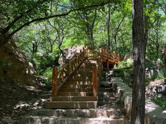 -大岭沟猕猴桃谷风景区