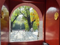 -红螺寺