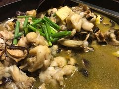 鸡汁菌菇味-蛙小侠(珠海华发商都店)