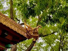 -护国法轮寺