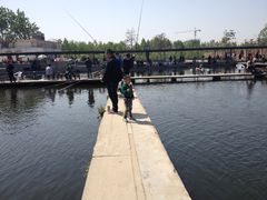 iphone_upload_pic-特种渔场
