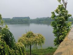 -东郊湿地公园