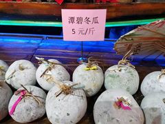 -优之名鹅城