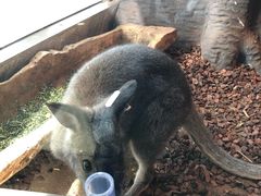 -昆明大悦城未来动物城(螺蛳湾中心店)
