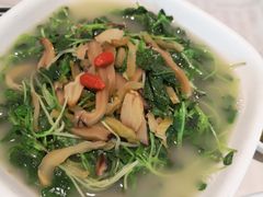 上汤豆苗-石头咕(葵蓬店)