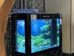 -汤泉良子.足疗按摩.SPA(中关村店)