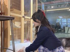 -more than meow吴止猫主题餐厅(承德 中船汇店)