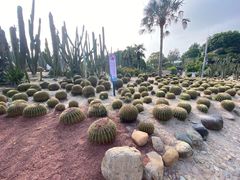 -集美学村