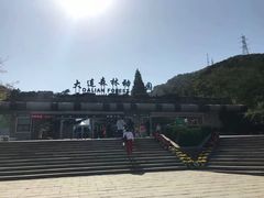 -大连森林动物园