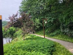 -重庆彩云湖湿地公园