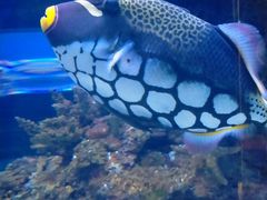 -成都浩海立方海洋公园