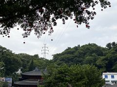 -墨池公园