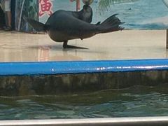 android_upload_pic-太原动物园