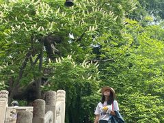 -潭柘寺景区