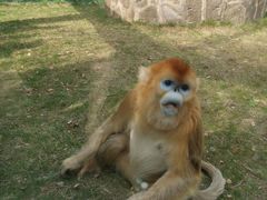 -西安秦岭野生动物园