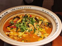 -魏铭鱼头捞饭(晋阳路店)