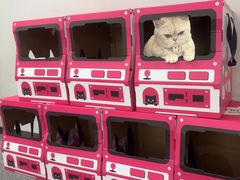 -静宜和她的朋友(星海广场店)
