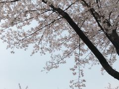 -小池屋创意料理