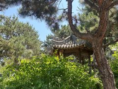 -爱新觉罗皇家博物院