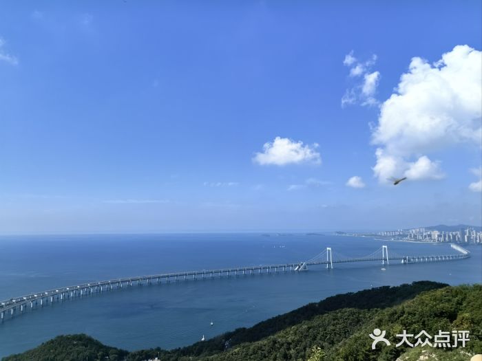 大连森林动物园图片