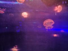 -洛阳龙门海洋馆