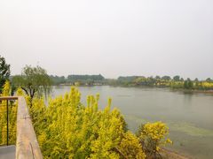 -东郊湿地公园