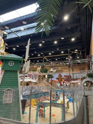 -卡通尼·Safari非洲探索乐园·生日会(金桥国际商业广场店)