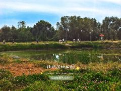 -长春北湖公园