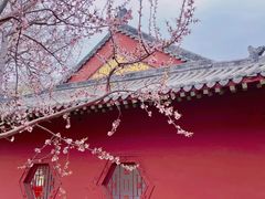 -桃花堤公园