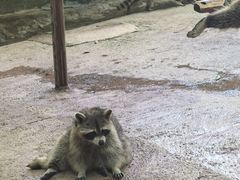 -杭州野生动物世界