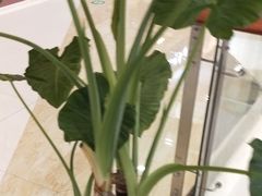 -乡党臊子面(丰庆公园店)