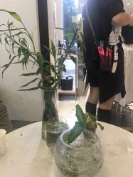 -菲·木田moontin造型salon