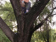 -长白岛森林公园