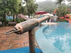 -重庆海昌加勒比海水世界