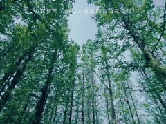 -大连天门山国家森林公园